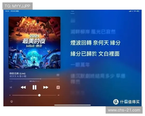 二十一点游戏软件：多平台兼容性与用户界面优化分析